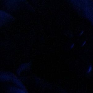 Meet your Posher, Frank